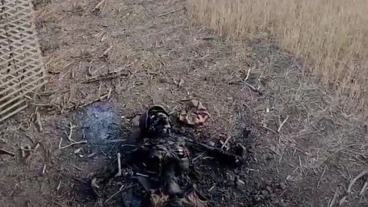 🔞 More dead ukraine soldiers