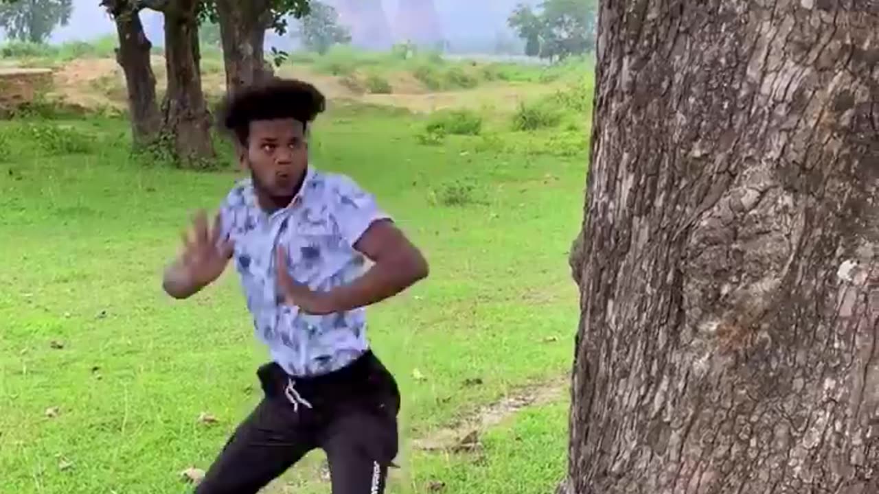 funny videos and funny people