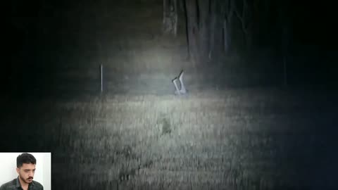 Kangaroo Hunting with guns in nighte