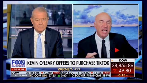 ⛈️RUMBLE🌪️vs.⏲️TIK💣TOK💥 ~ Kevin O'Leary 🦈