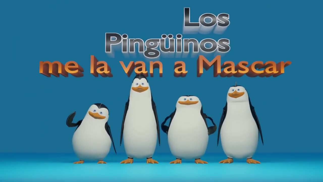 Pinguinos