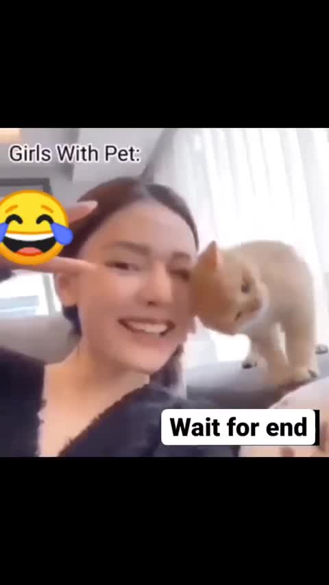 Girls with pet vs Boys with pet 🐶🐕🐕🐶
