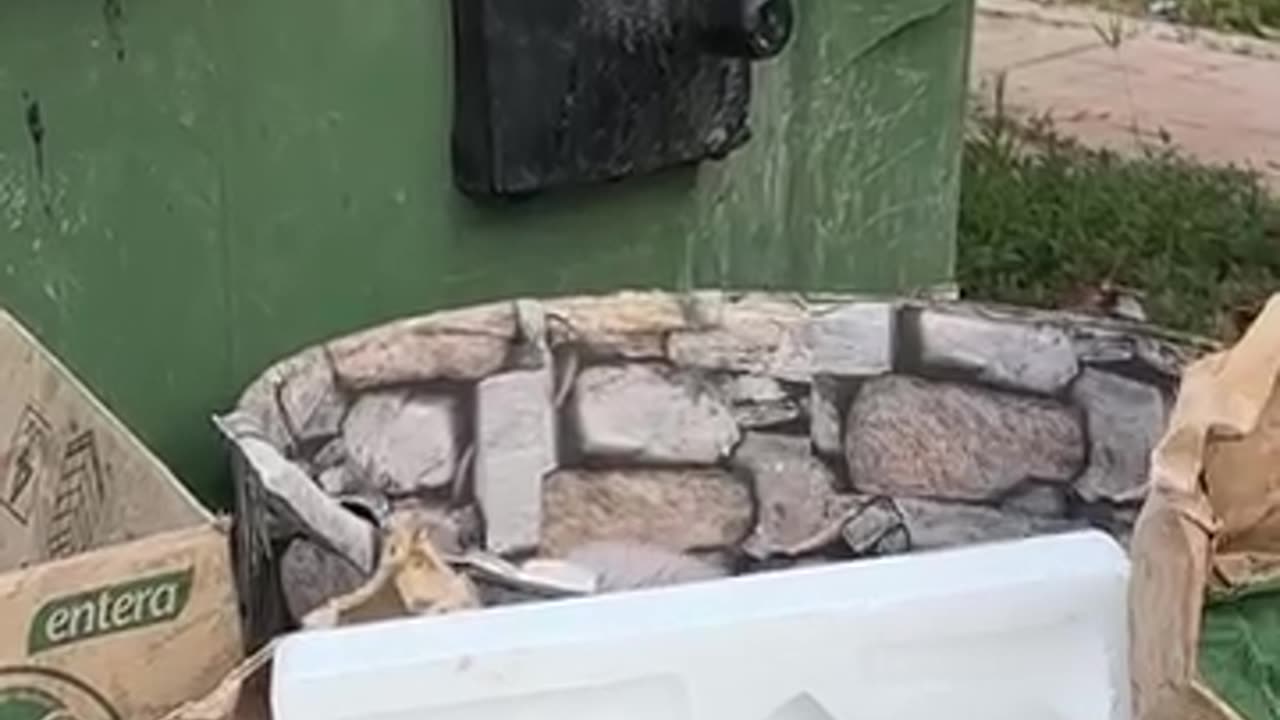 Rat Prank