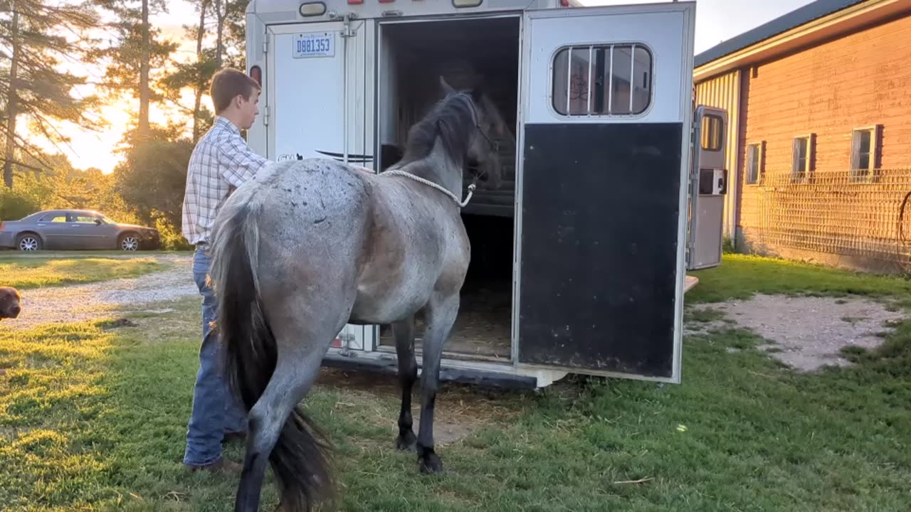 Nolund testing Steele's trailer skills 12 Aug 2024