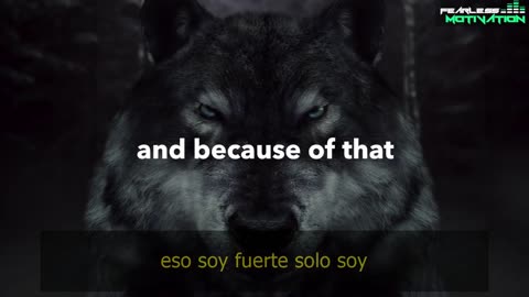 Si te sientes solo: MIRA ESTE Lobo solitario