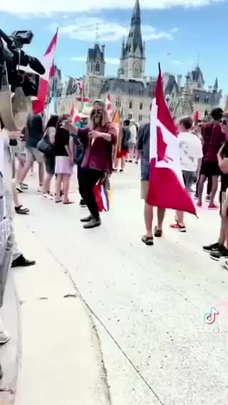 Trolling mainstream media