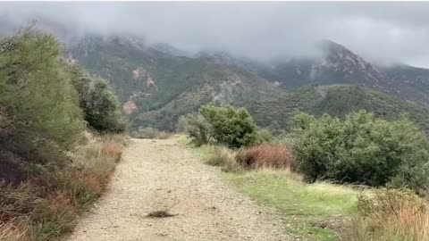 Mt. Baldy Hike