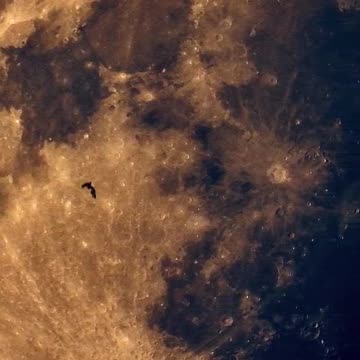 Embark on a Cosmic Adventure with Official NASA Space Insights! 🚀🌌