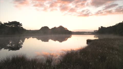 Beyond Darwin