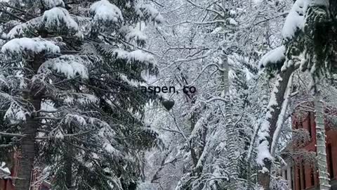 aspen, co