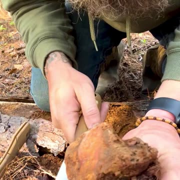 Dead Trees Are Rich in THESE