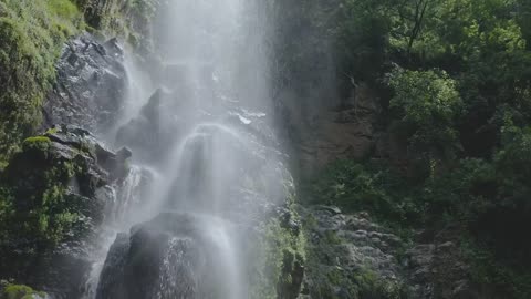 Waterfall in forest