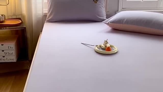 Cotton cotton bed sheet and bed cover winter woolen four-piece set