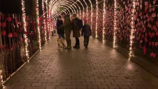 Christmas Lights at the Aalborg Zoo | Tunnel of love