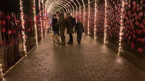 Christmas Lights at the Aalborg Zoo | Tunnel of love