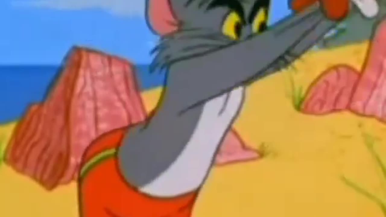 Tom and Jerry cartoon video