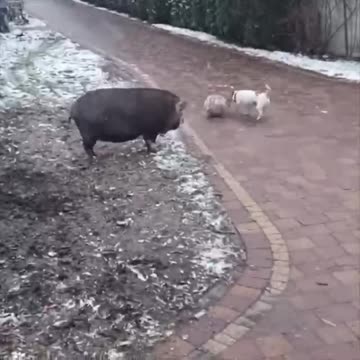 Best friends don’t matter the difference 😍😊