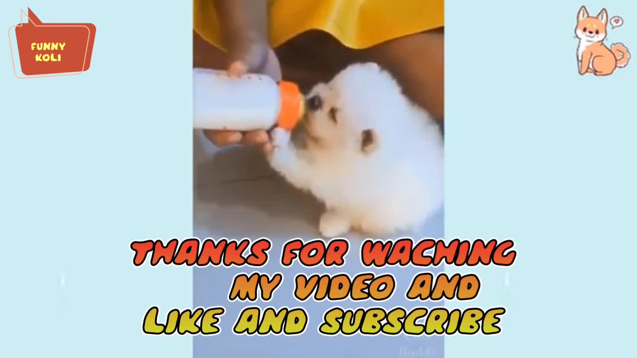 Cute baby animals Videos Compilation cutest moment of the animals - Cutest puppy []