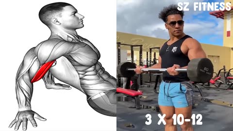 Bicep Triceps Workout For Big Arms