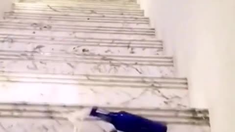 Bottle rolling on stairs #shorts #satisfying