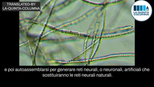 iniettare-a-tradimento