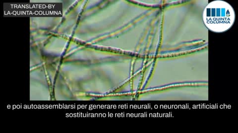iniettare-a-tradimento