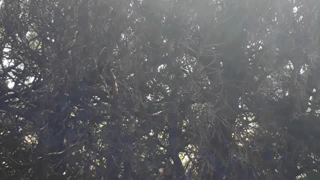 20220418-100345