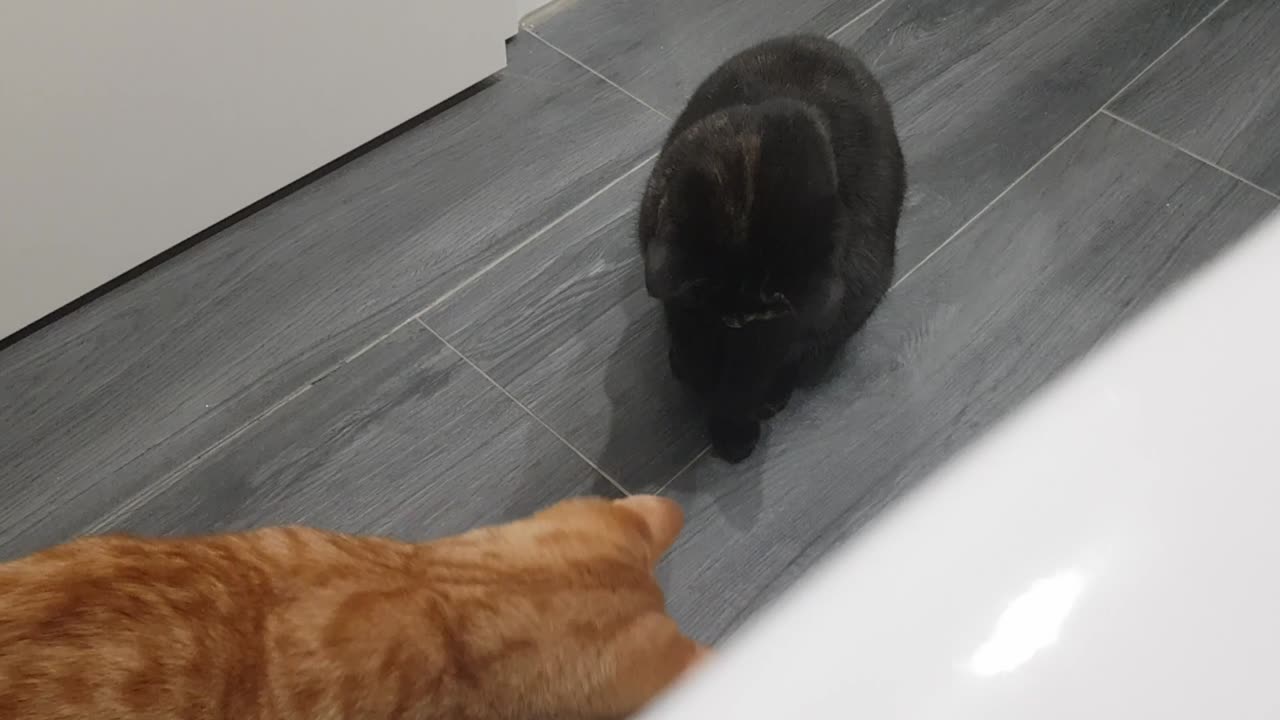 Bathtub PLAYtime with lots of Bubbles