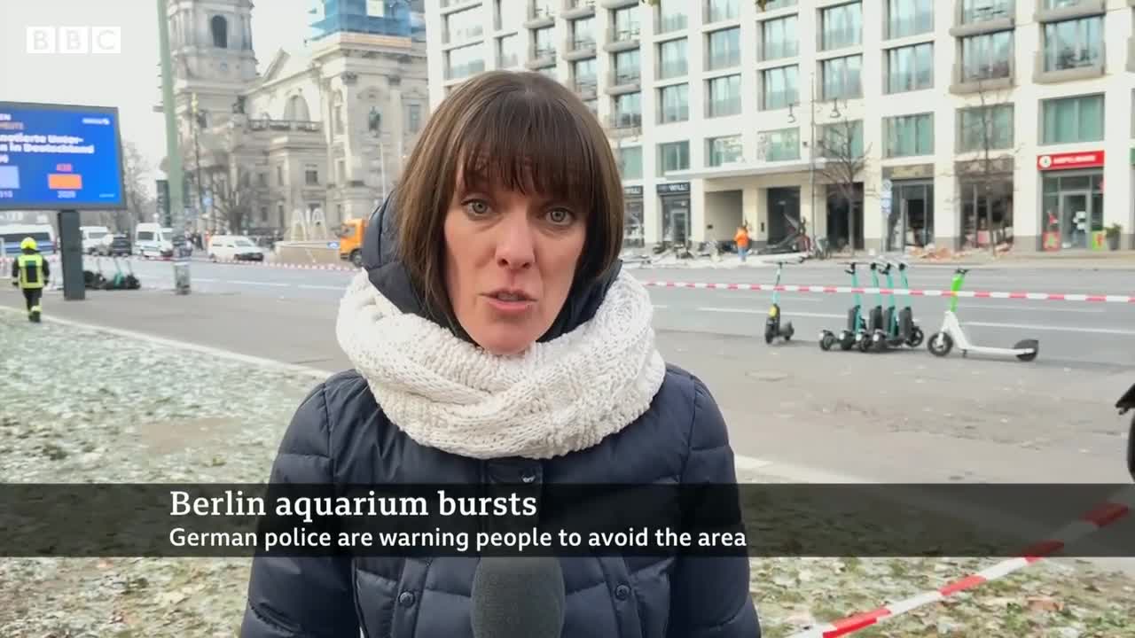 Giant Berlin hotel aquarium with 1,500 fish explodes - BBC News