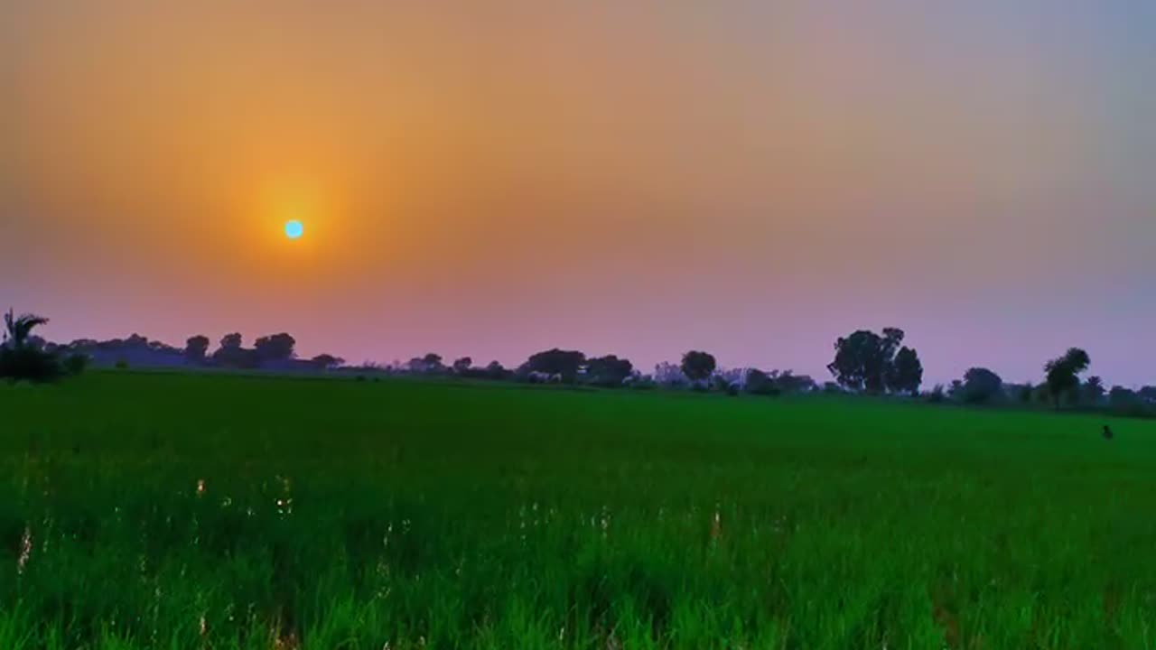 A beautiful view of My village