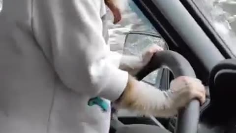 A monkey driving a car