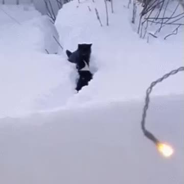 Hold on! I will help you