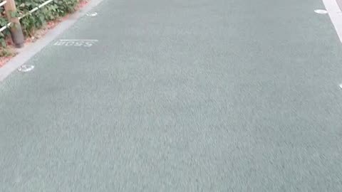 240613... 동네산책