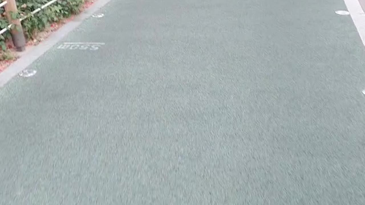 240613... 동네산책