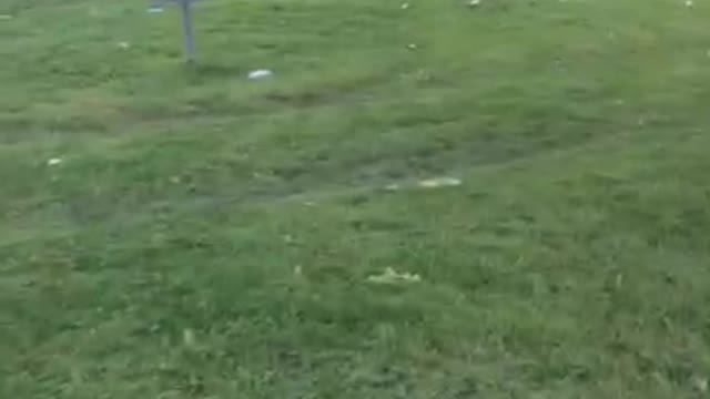 My Shot Totally Blocked Navies - DISC Golfing