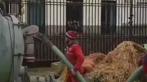 German farmers are currently standing up to the globalists in huge numbers.