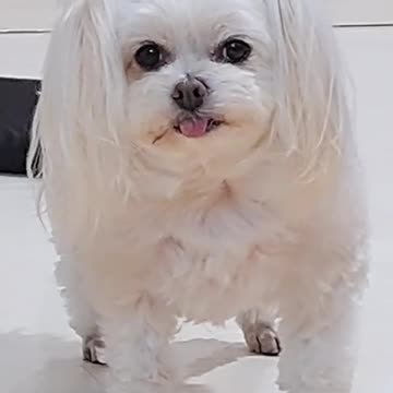 don't look at me too much