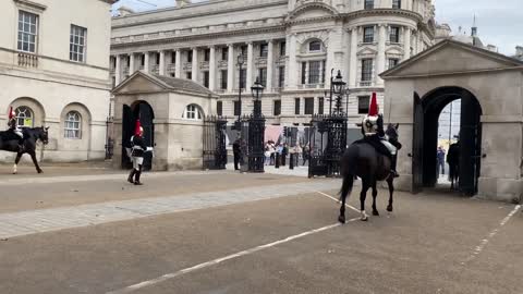 Queen’s Guard Horse Goes Crazy