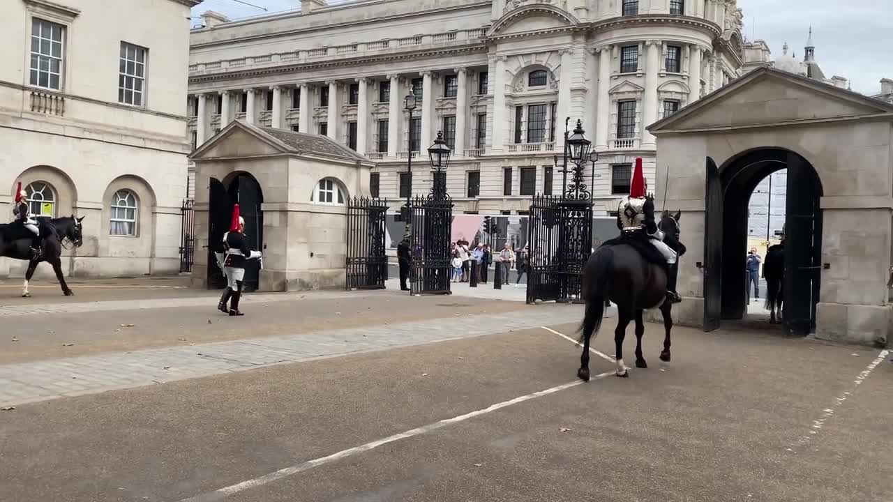 Queen’s Guard Horse Goes Crazy