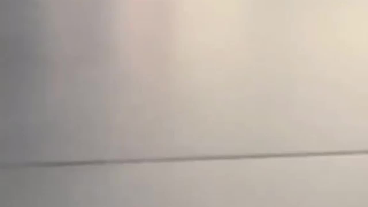 Cat 🐈😻