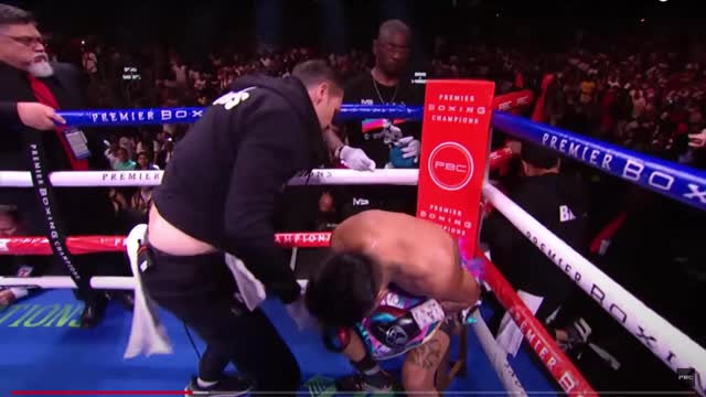 Boxing Technical Analisys Davis vs Barrios Round 4