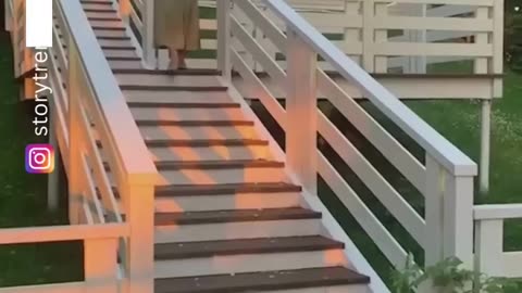 Funny videos for kids