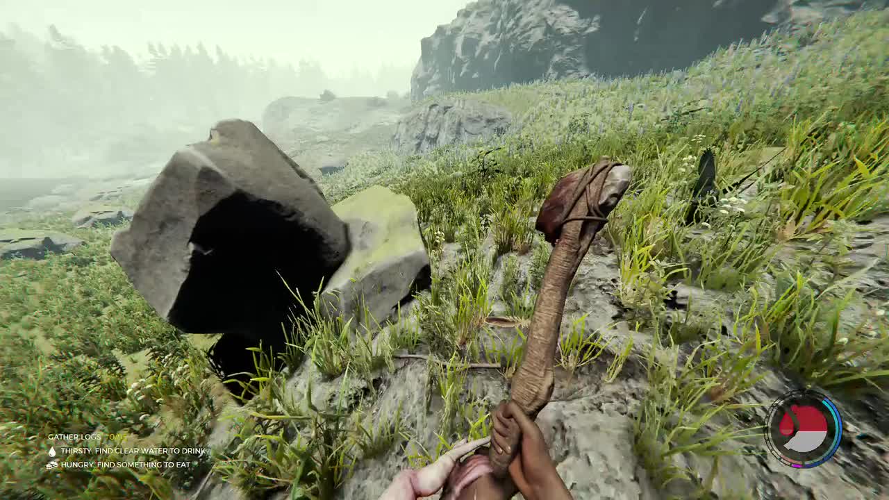 The Forest Pt.29