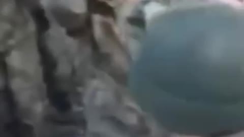 A pack of captive ukraine soldiers