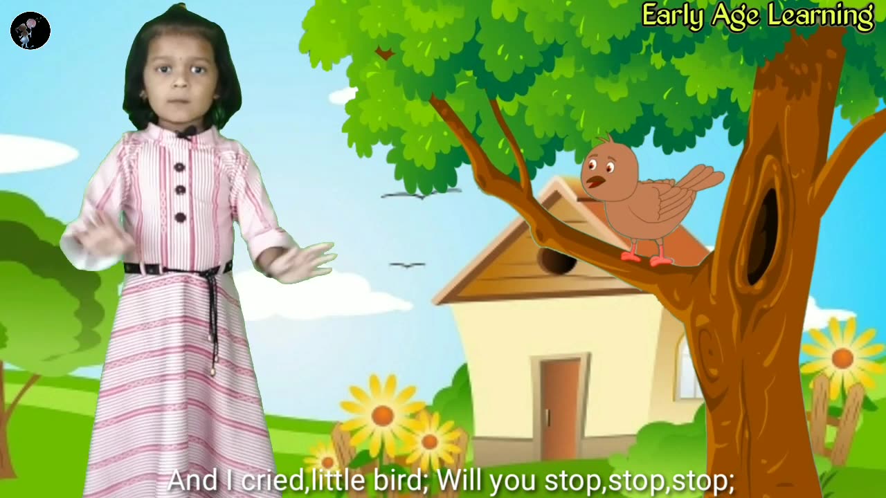 Saw a Little Bird Favourite English Kids Song Animated Poem For Kids bird poem for kids