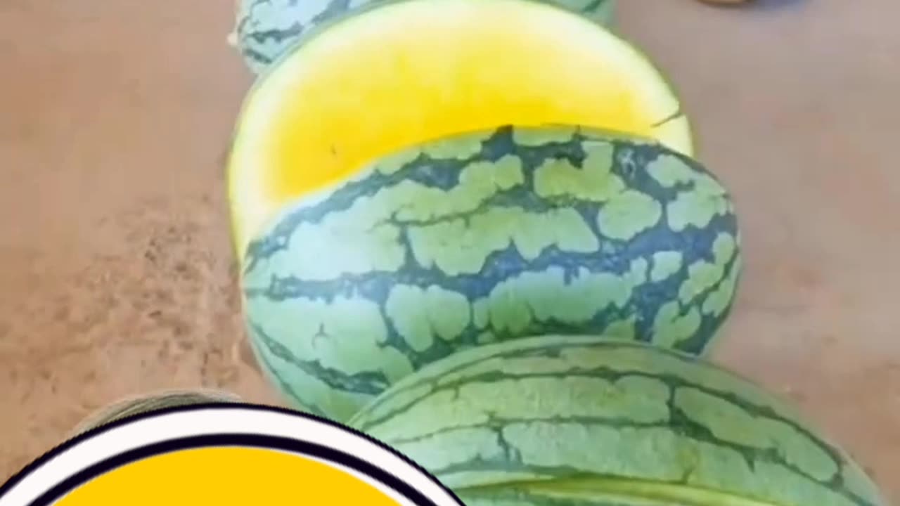 Oddly Satisfying Video