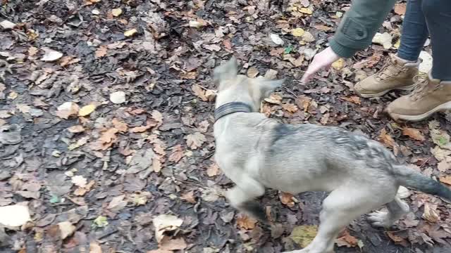 MARLY MALINOIS