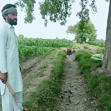 Rumble entanglement video s