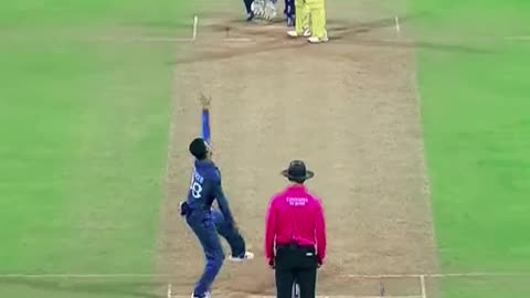 Maxwell out stangding inning win the match