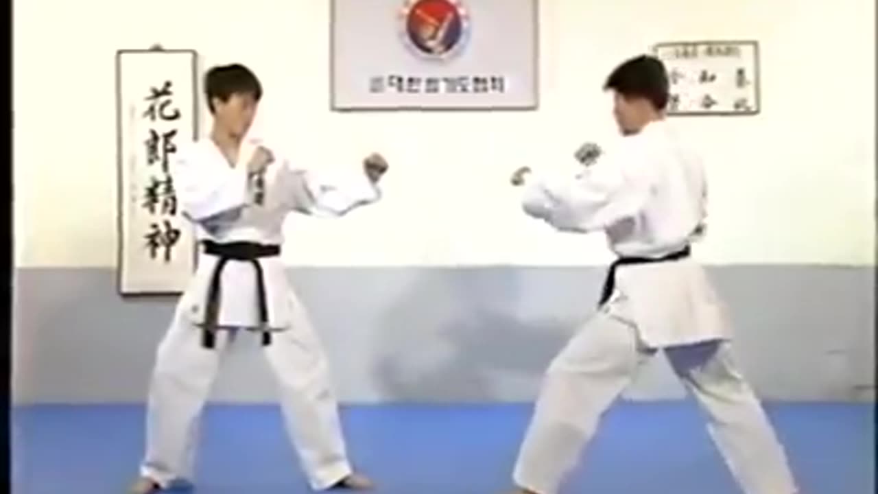 Hapkido